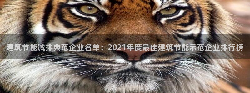 e尊国际地址：建筑节能减排典范企业名单：2021年度最佳建筑节能示范企业排行榜